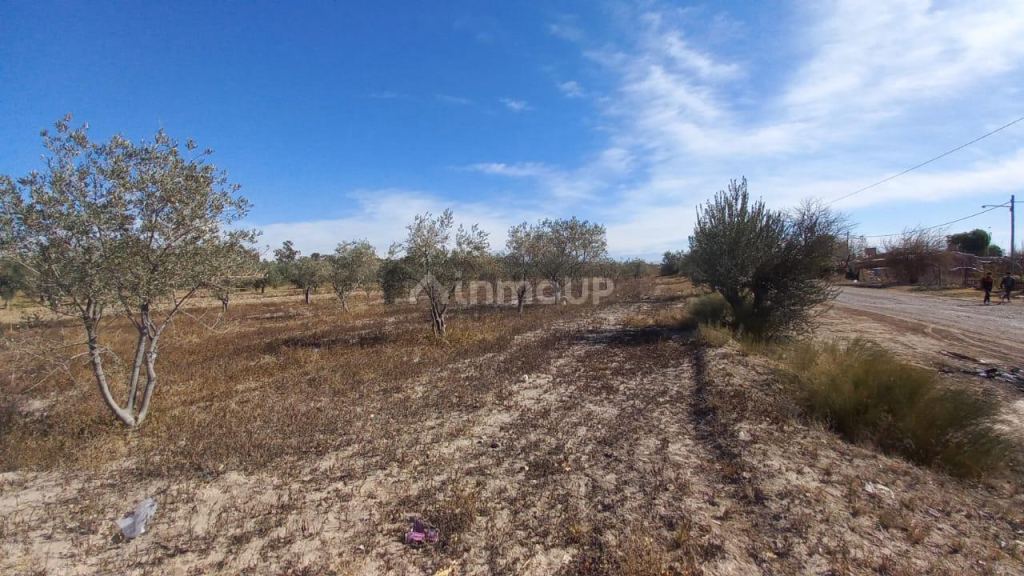 Terreno en Venta en Maipu, Mendoza