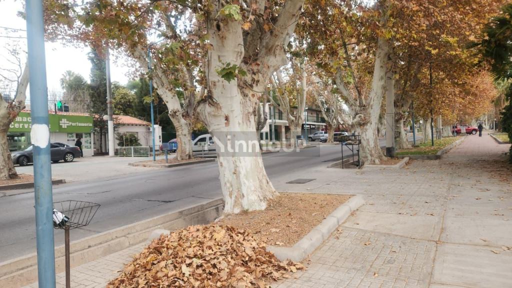 Lote en Venta en Godoy Cruz, Mendoza