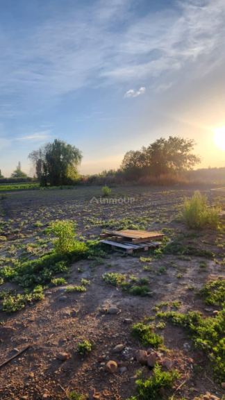 Lote en Venta en Maipu, Mendoza