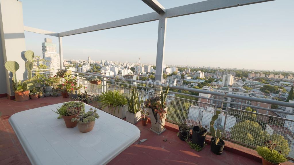 Colegiales Palpa al 3500