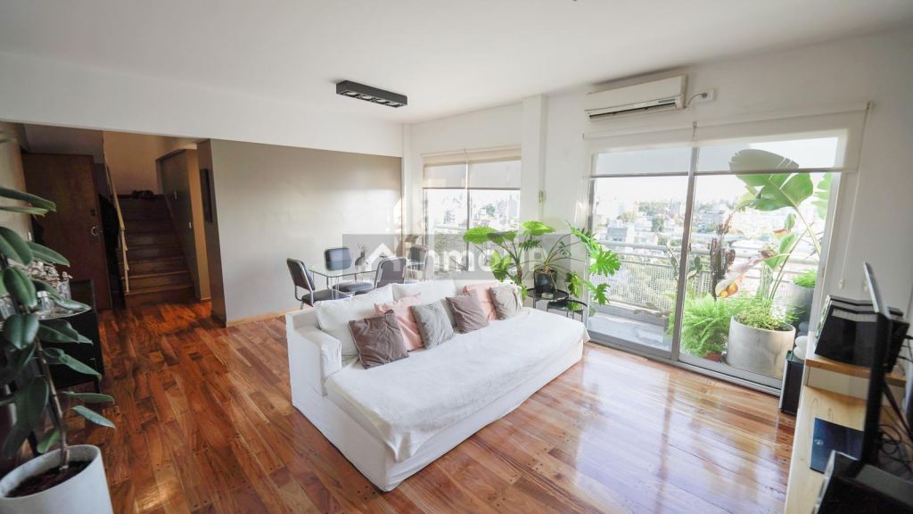 Colegiales Palpa al 3500