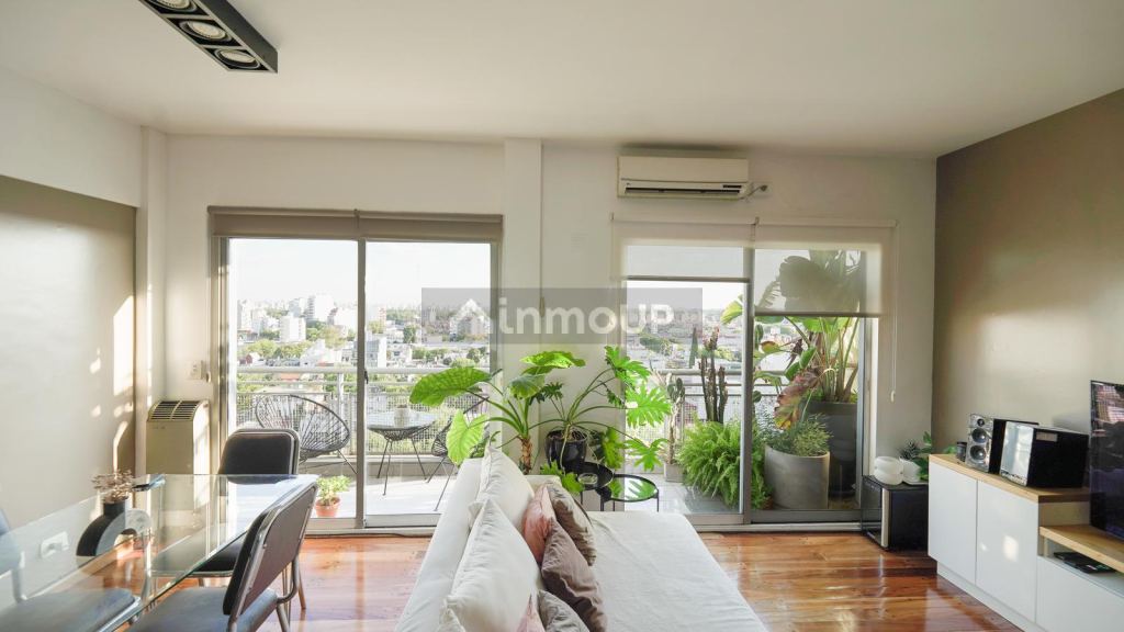 Colegiales Palpa al 3500