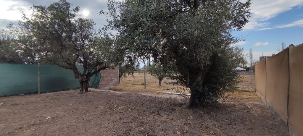 Lote en Venta en Lujan de Cuyo, Mendoza