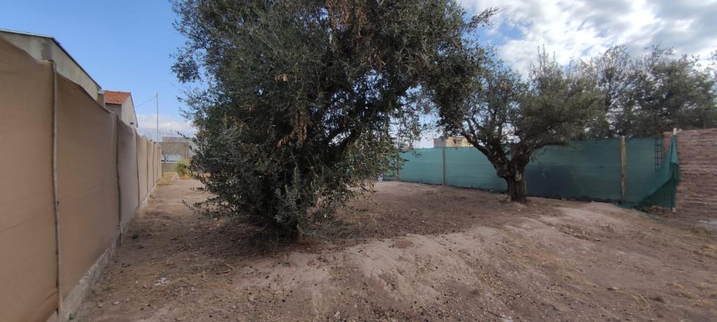 Lote en Venta en Lujan de Cuyo, Mendoza