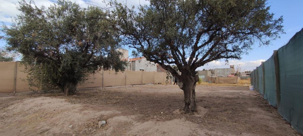 Lote en Venta en Lujan de Cuyo, Mendoza