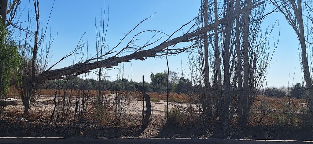 Terreno en Venta en Maipu, Mendoza