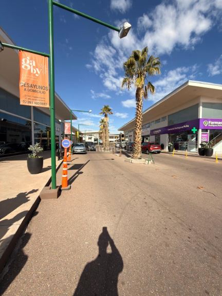 Local Comercial en Alquiler en Godoy Cruz, Mendoza