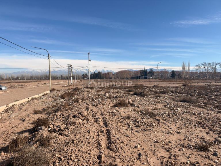 Lote en Venta en Lujan de Cuyo, Mendoza