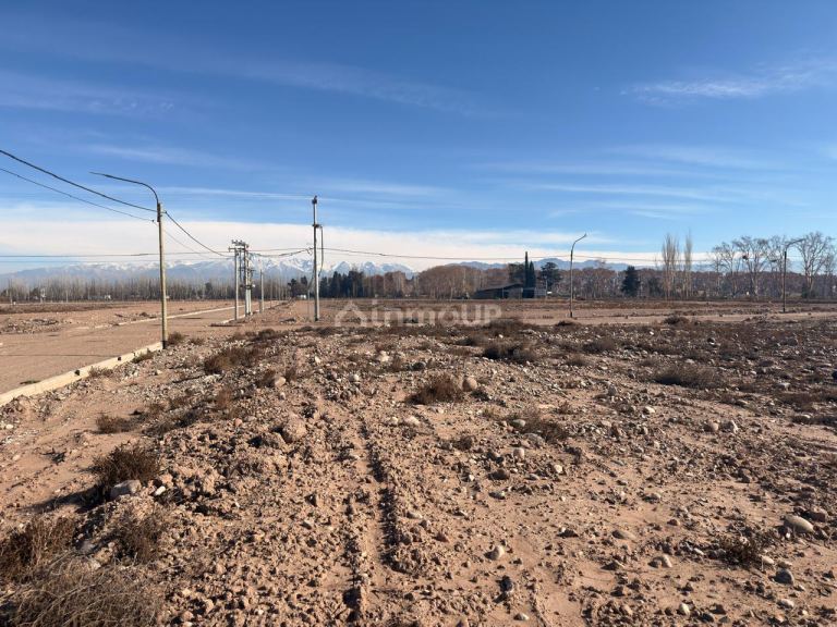 Lote en Venta en Lujan de Cuyo, Mendoza