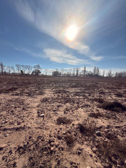 Lote en Venta en Lujan de Cuyo, Mendoza