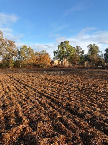 Lote en Venta en Lavalle, Mendoza
