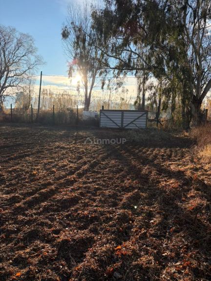 Lote en Venta en Lavalle, Mendoza