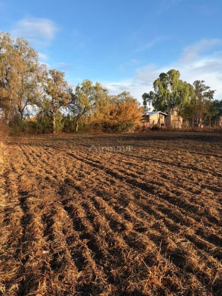 Lote en Venta en Lavalle, Mendoza