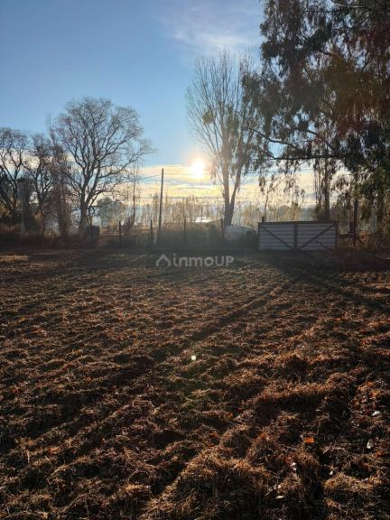 Lote en Venta en Lavalle, Mendoza