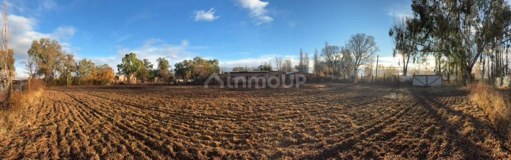 Lote en Venta en Lavalle, Mendoza