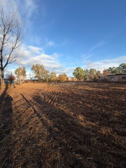 Lote en Venta en Lavalle, Mendoza