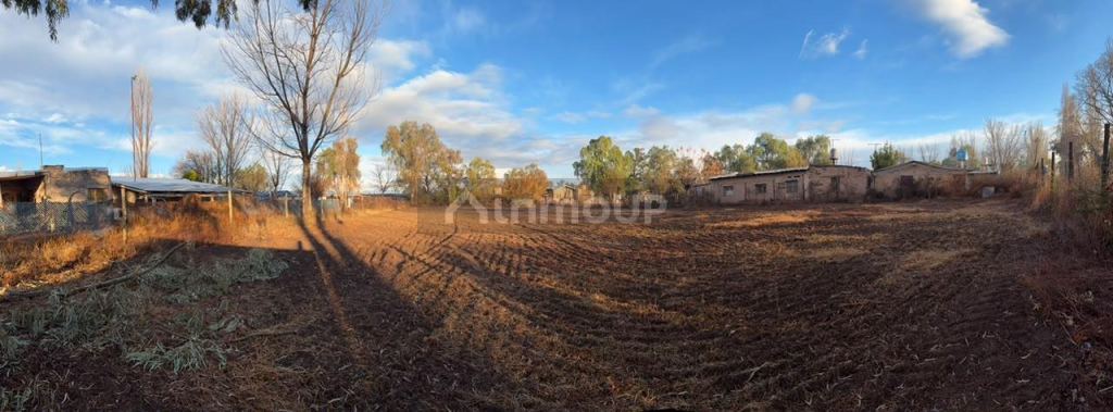 Lote en Venta en Lavalle, Mendoza