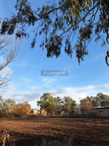 Lote en Venta en Lavalle, Mendoza