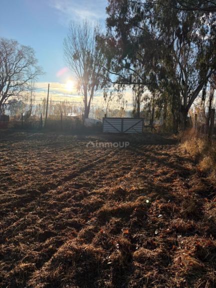 Lote en Venta en Lavalle, Mendoza