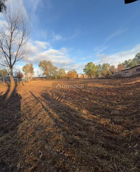 Lote en Venta en Lavalle, Mendoza