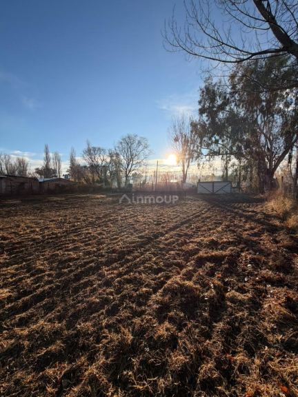 Lote en Venta en Lavalle, Mendoza