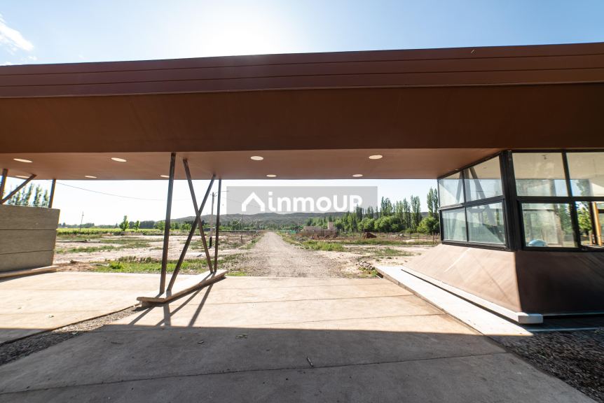 Lote en Venta en Lujan de Cuyo, Mendoza