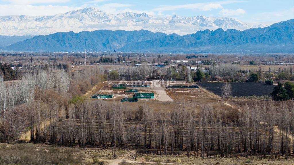 Lote en Venta en Lujan de Cuyo, Mendoza