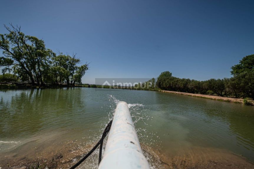Finca en Venta en Lujan de Cuyo, Mendoza