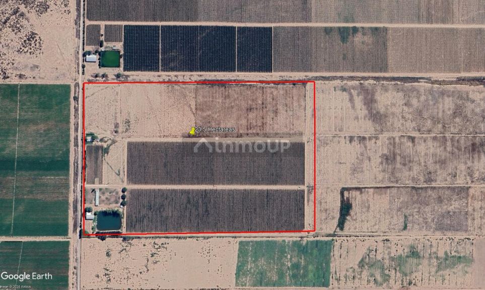 Finca en Venta en Lujan de Cuyo, Mendoza