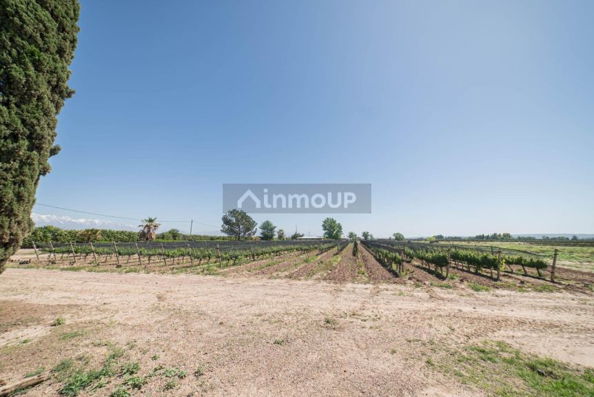 Finca en Venta en Lujan de Cuyo, Mendoza