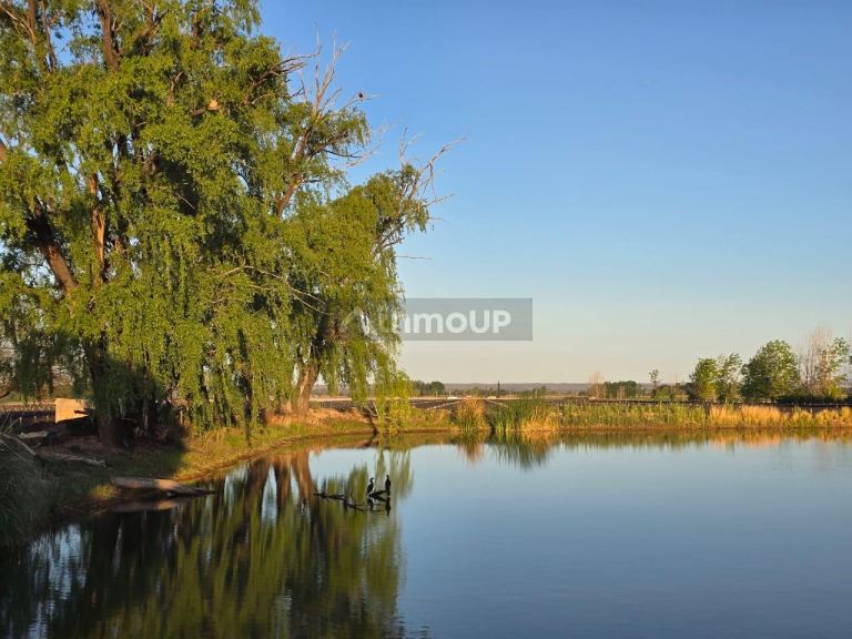 Finca en Venta en Lujan de Cuyo, Mendoza