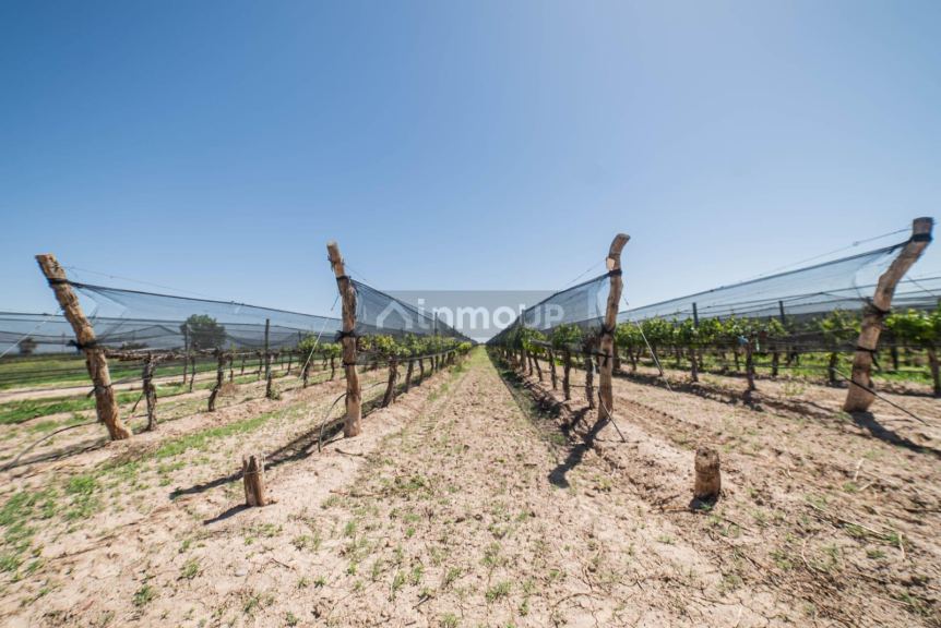 Finca en Venta en Lujan de Cuyo, Mendoza