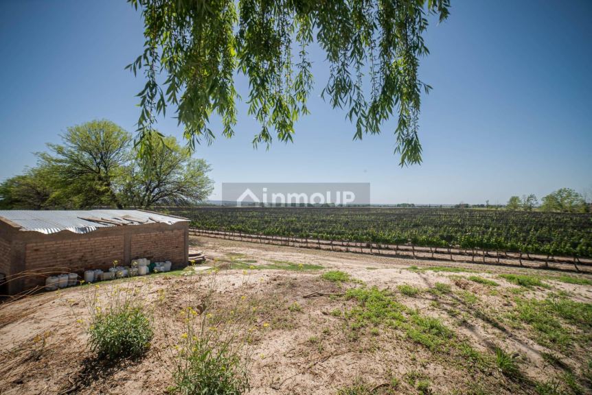 Finca en Venta en Lujan de Cuyo, Mendoza