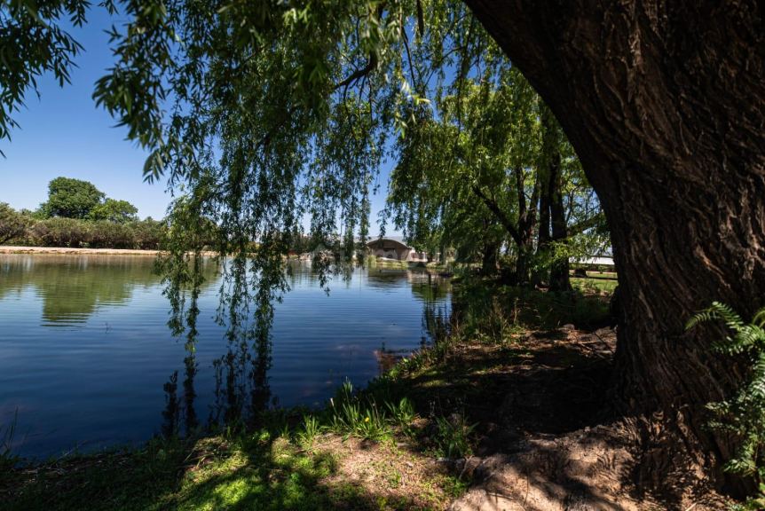 Finca en Venta en Lujan de Cuyo, Mendoza