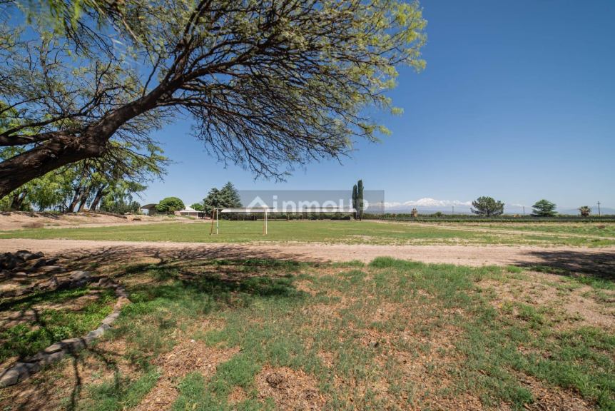 Finca en Venta en Lujan de Cuyo, Mendoza