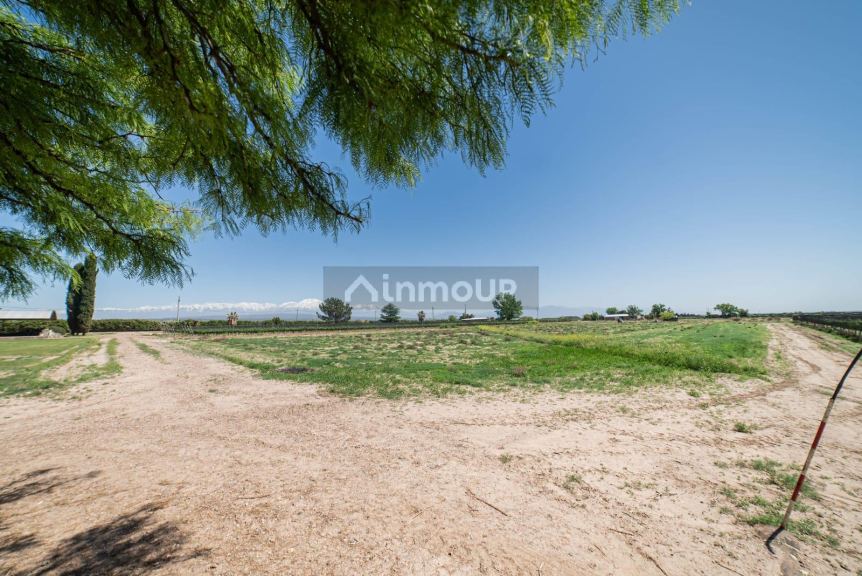 Finca en Venta en Lujan de Cuyo, Mendoza