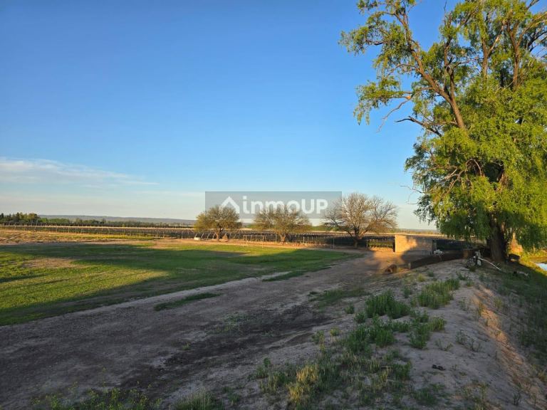 Finca en Venta en Lujan de Cuyo, Mendoza