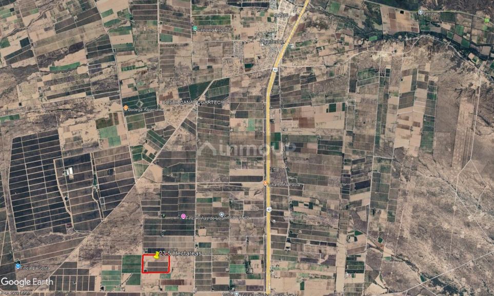 Finca en Venta en Lujan de Cuyo, Mendoza