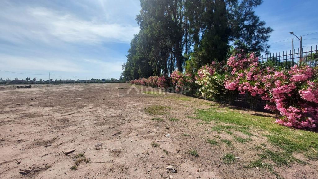 Lote en Venta en Maipu, Mendoza
