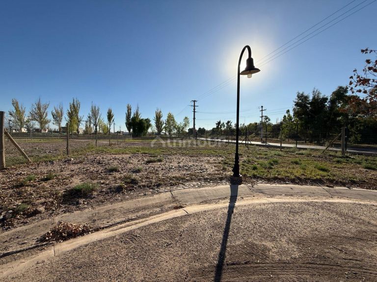 Lote en Venta en Lujan de Cuyo, Mendoza