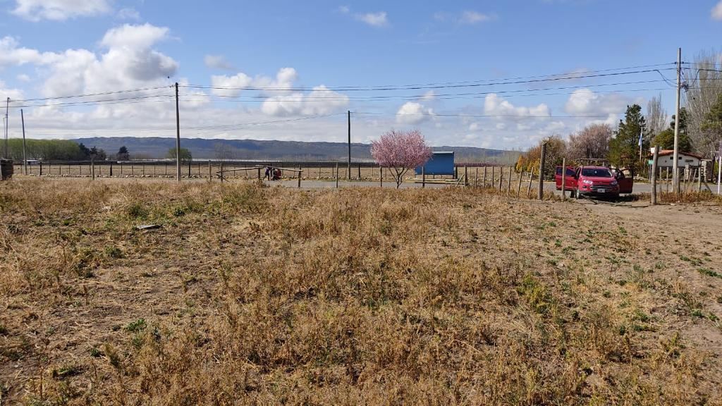 Finca en Venta en Rivadavia, Mendoza