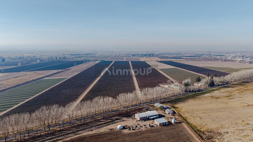 Finca en Venta en San Carlos, Mendoza