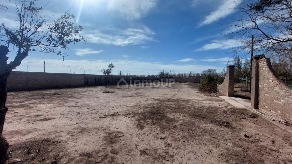 Lote en Venta en Lujan de Cuyo, Mendoza