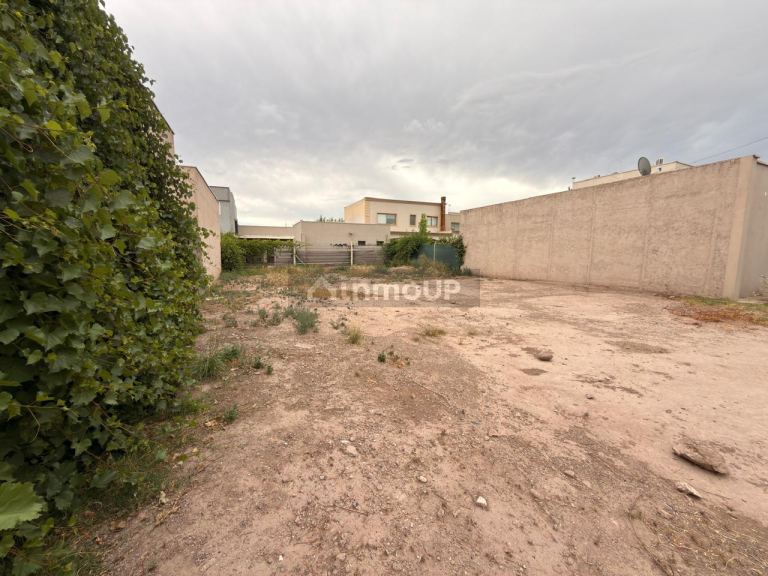 Lote en Venta en Lujan de Cuyo, Mendoza