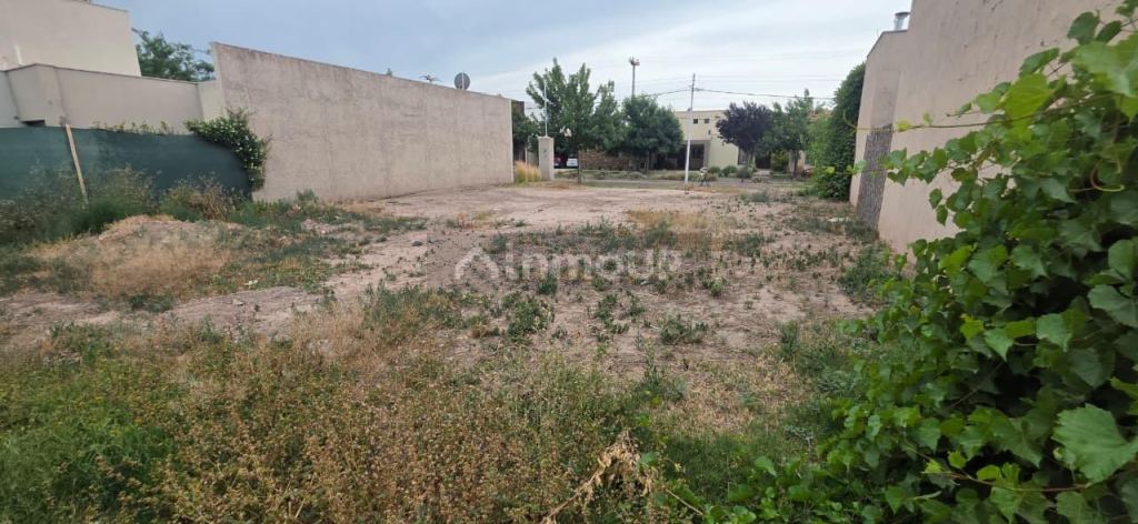 Lote en Venta en Lujan de Cuyo, Mendoza