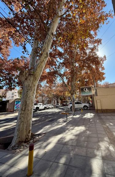Casa en Alquiler en Capital, Mendoza