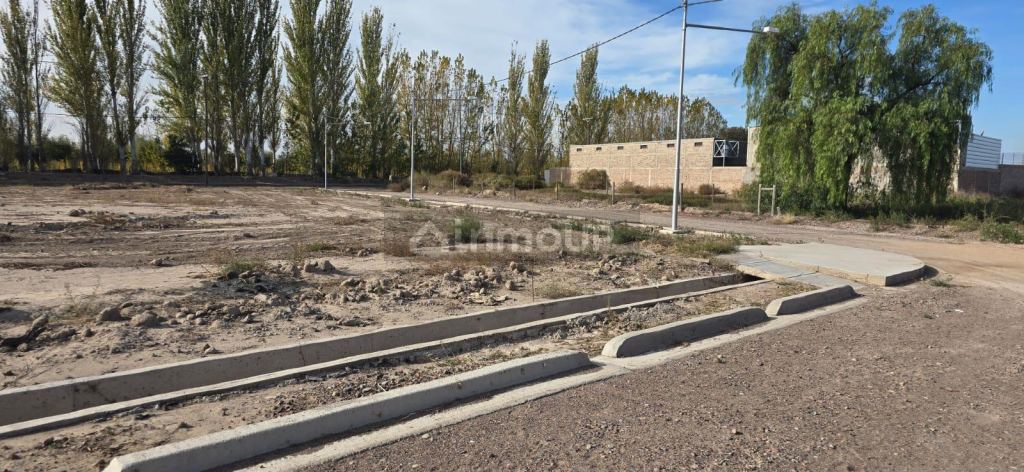 Lote en Venta en Junin, Mendoza