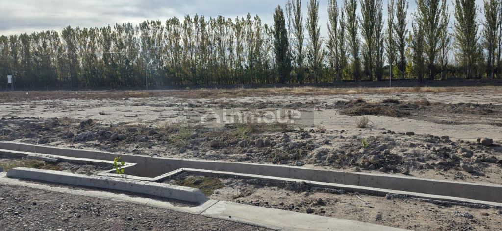 Lote en Venta en Junin, Mendoza