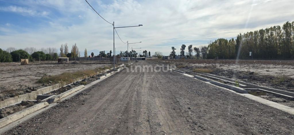 Lote en Venta en Junin, Mendoza