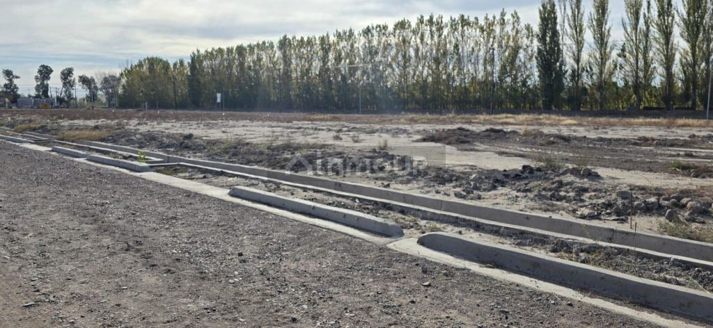 Lote en Venta en Junin, Mendoza